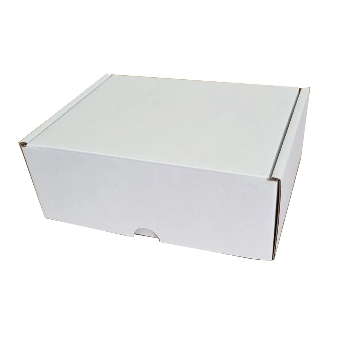 250X180X75 Whtie Die-Cut Boxes (100pcs)