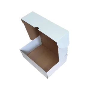 250X180X75 Whtie Die-Cut Boxes (100pcs)