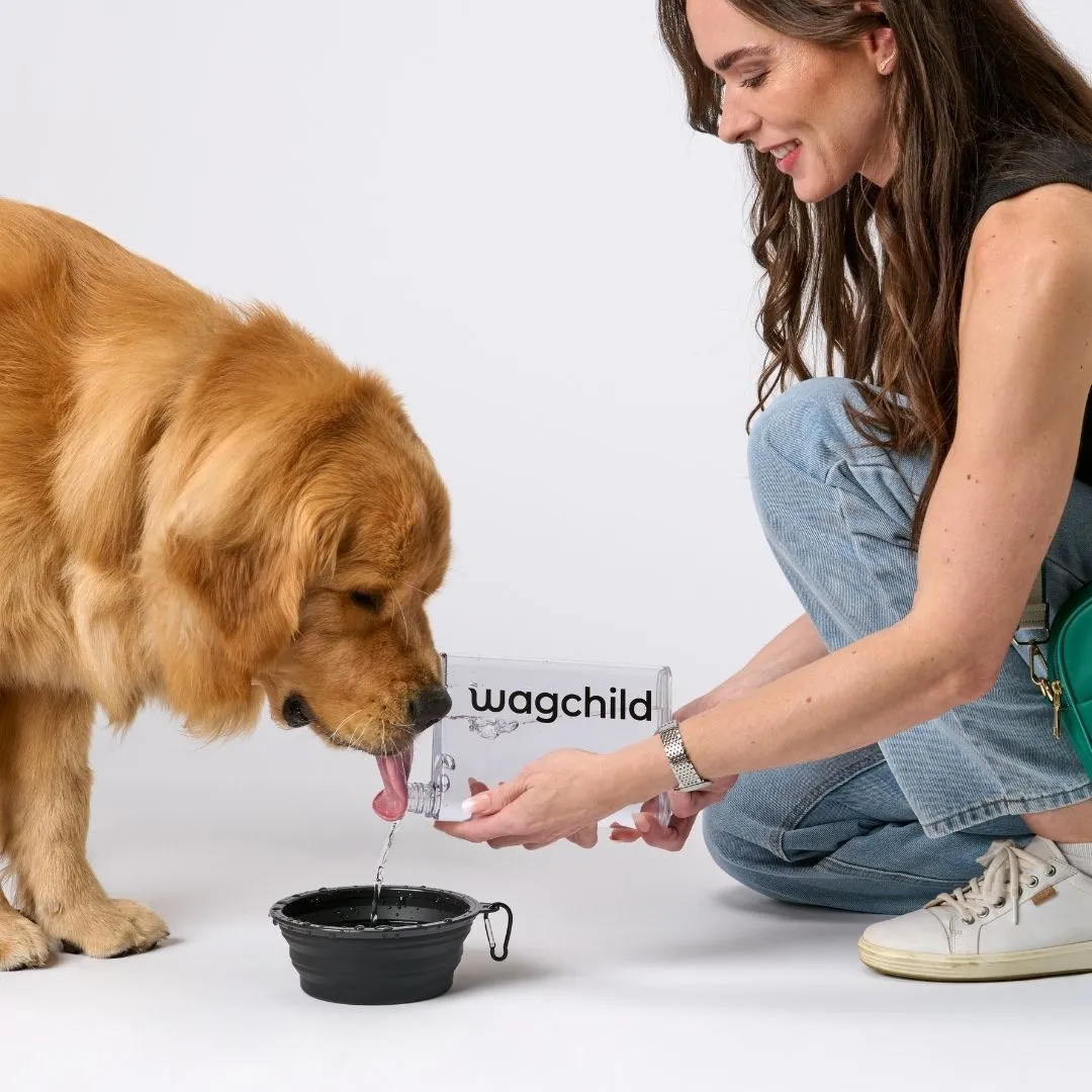 Collapsible Travel Bowl 650ml