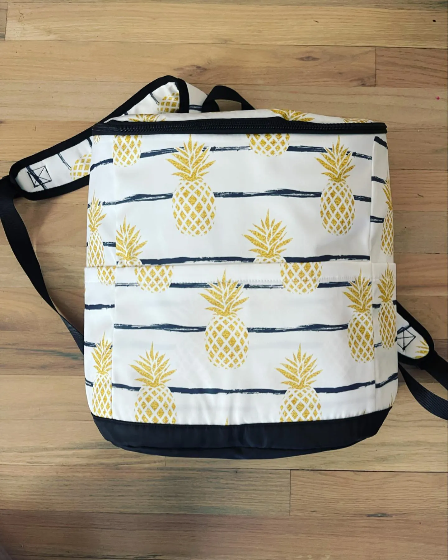 Cooler Backpacks