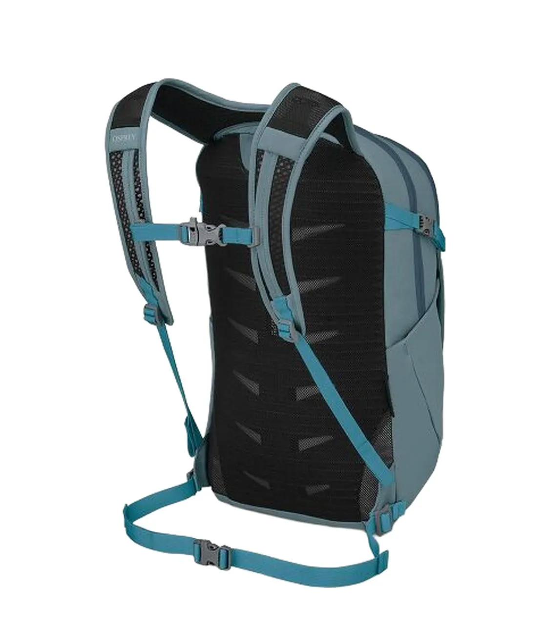 Dayliteplusearth Backpack