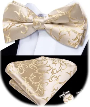 Dubulle Mens Paisley Striped Bowtie Set Pre-tied Bowtie for Men and Pocket Square Set Wedding Business