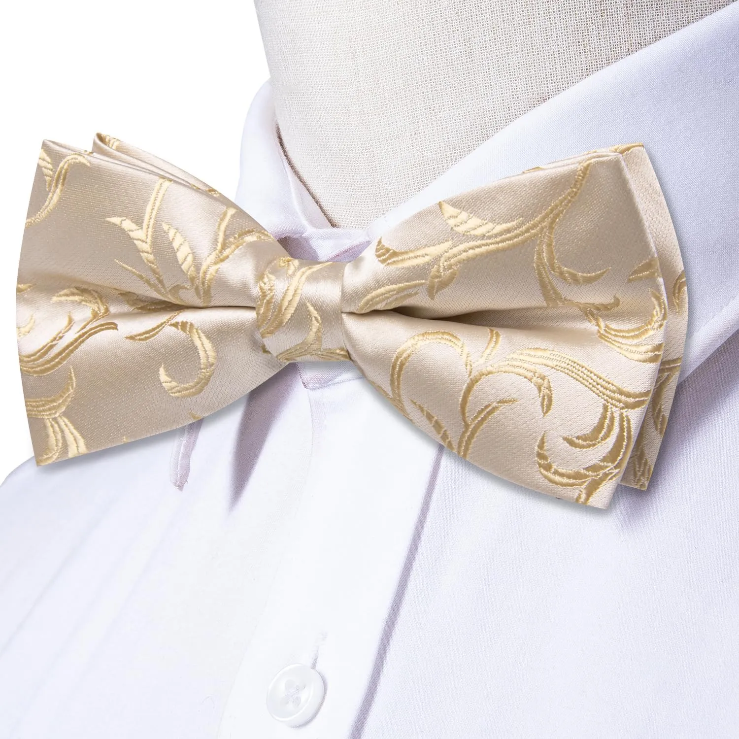 Dubulle Mens Paisley Striped Bowtie Set Pre-tied Bowtie for Men and Pocket Square Set Wedding Business