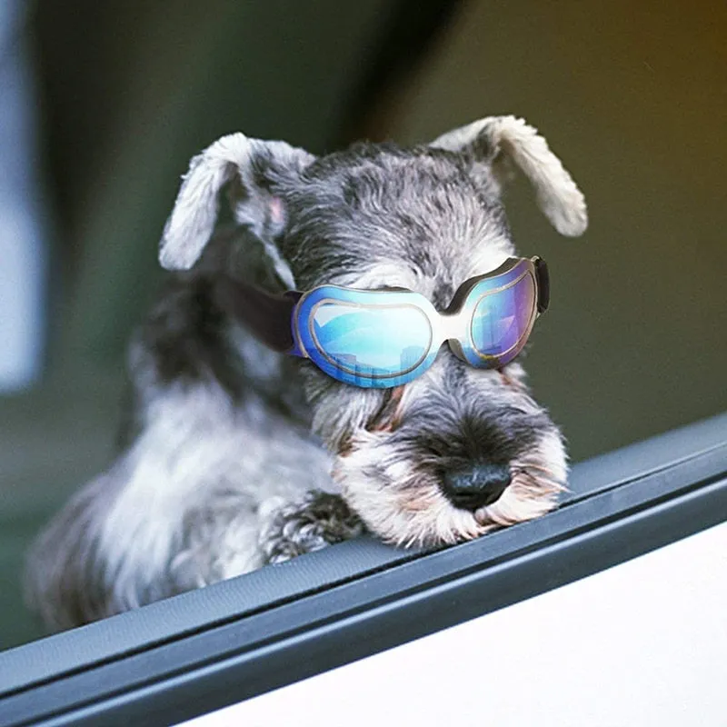 Fashion Small Dog Windproof Goggles