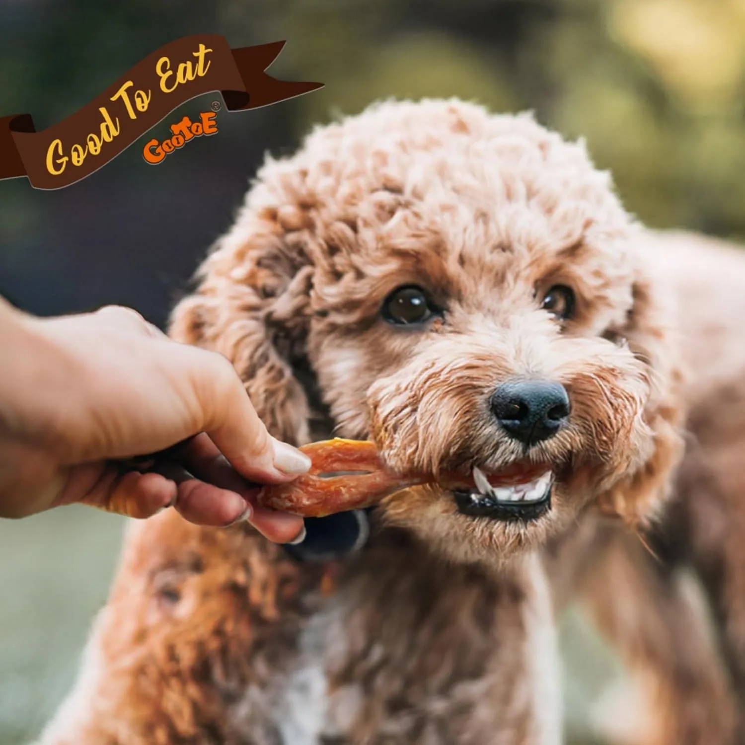 Gootoe Turkey Tendon Dog Treats, Turkey Tendon Bone (M) 3.17 oz, 100% USA-Sourced, Natural Snack, Premium Training Chews, Hypoallergenic, Reseal Value Bags, Sizes for Small Medium & Large Dogs