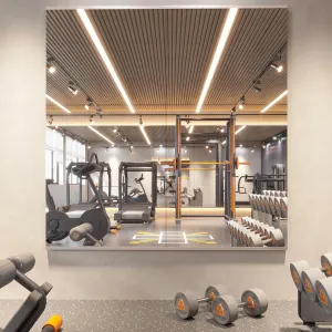 Home Gym Mirror, 65X30 Inch(Each)-2Pcs, Large Exercise Mirror, Frameless Full Body Mirror, Tempered Glass, Wall Mounted for Gym, Yoga, Bedroom, Dance Studio