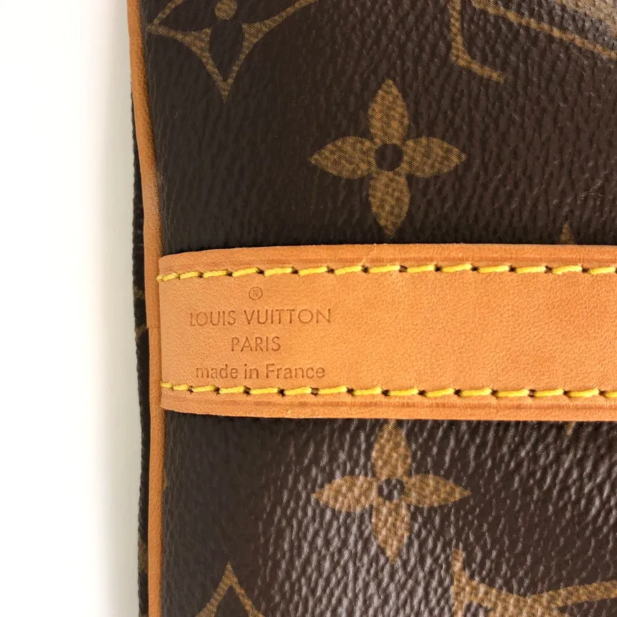 LOUIS VUITTON 2WAY Shoulder Handbag