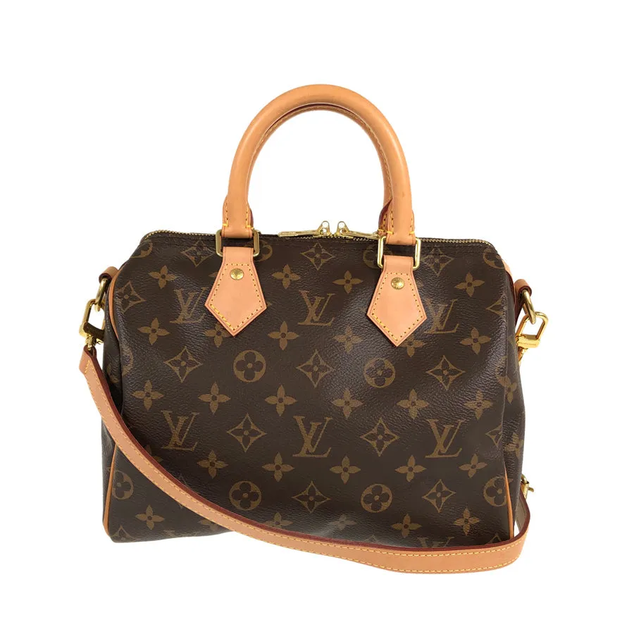 LOUIS VUITTON 2WAY Shoulder Handbag