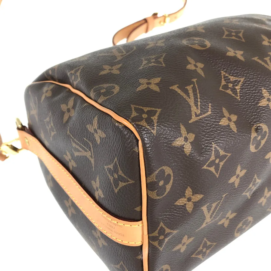 LOUIS VUITTON 2WAY Shoulder Handbag