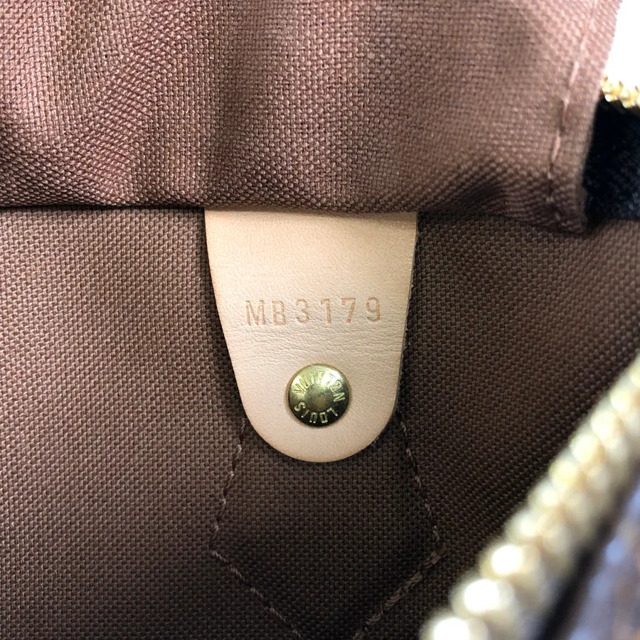 LOUIS VUITTON 2WAY Shoulder Handbag