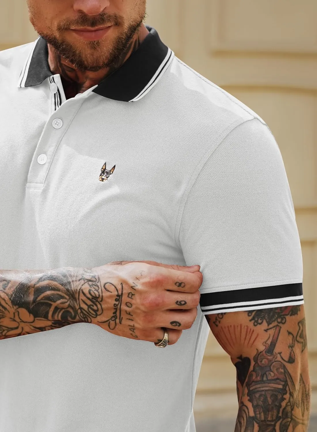 Men Polo Shirts Cotton Casual Business Embroidery Soft Short Sleeve Golf Shirt (S-XXL)
