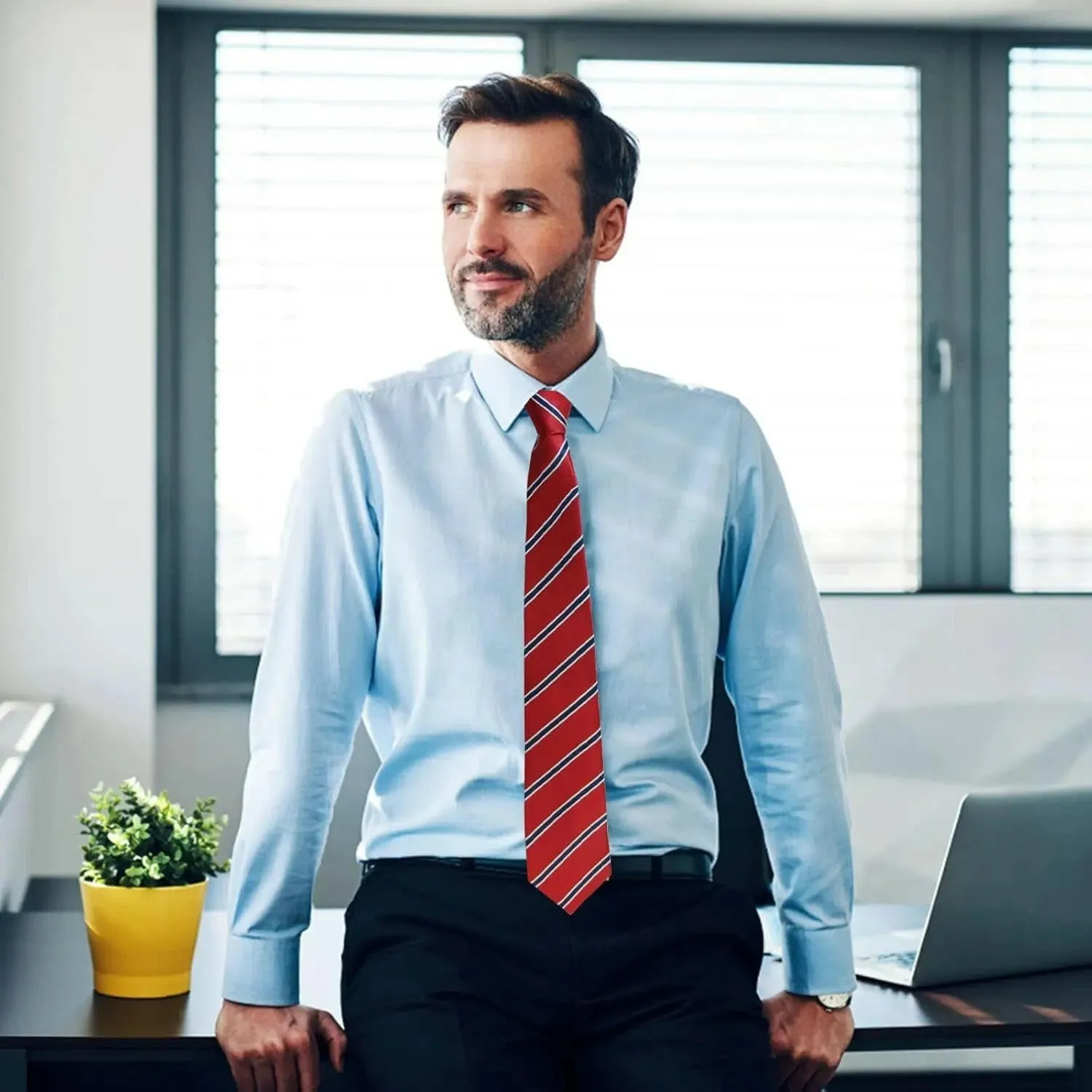 Men’s Classic Business Ties
