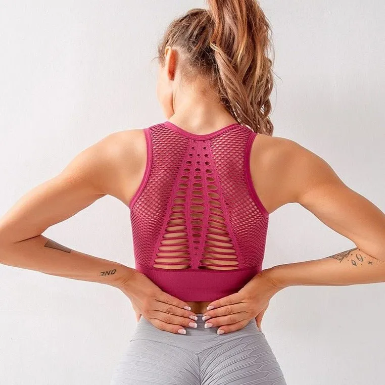 Mesh Back Padded Sports Bra