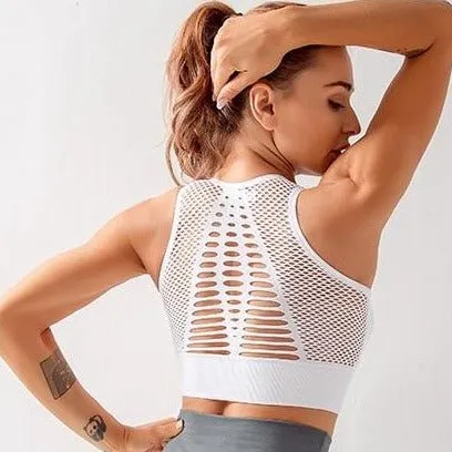 Mesh Back Padded Sports Bra