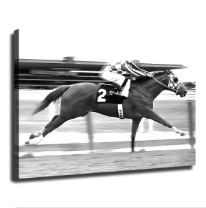 Secretariat At The Belmont Tournament Canvas Poster Holiday Gift HD Picture Modern Aesthetics Mural Wall Art Decoration (16×24inch-Unframed)