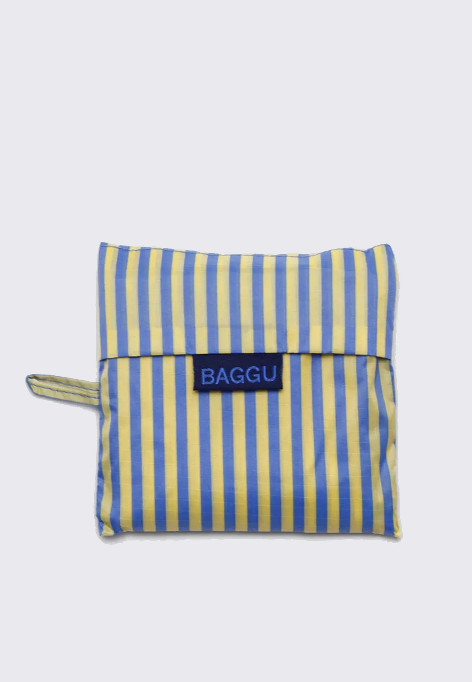 Standard Baggu - Blue Thin Stripe