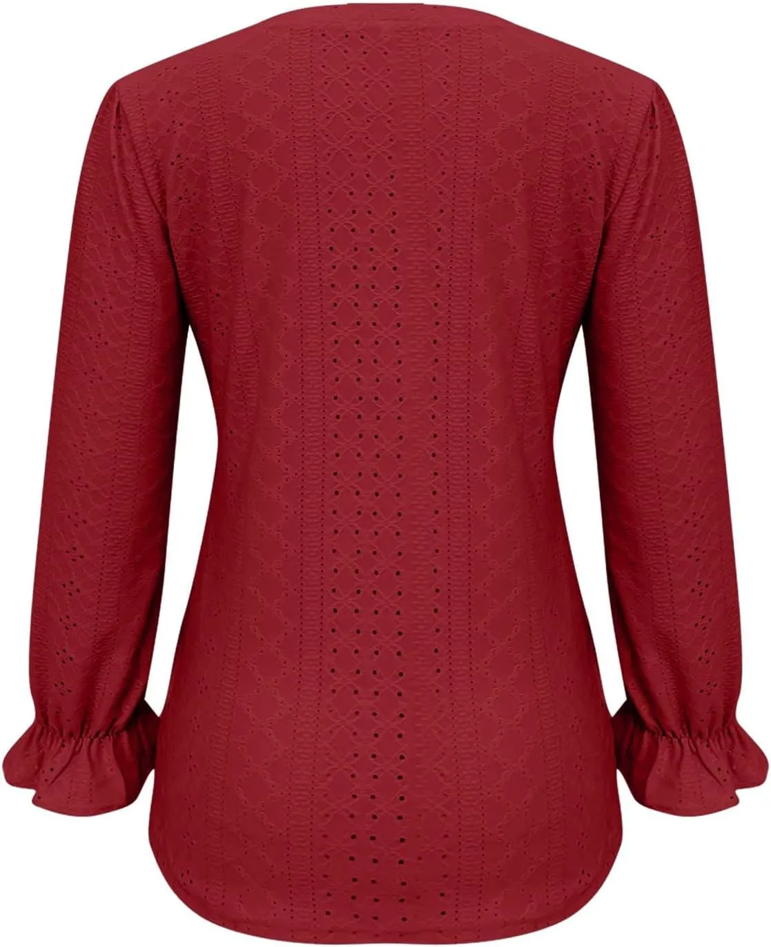 Womens Long Sleeve Eyelet Tops Solid Color V Neck Shirts Puff Sleeves Loose Fit Casual Blouses Fall Clothing